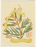 Artist: b'OGILVIE, Helen' | Title: b'Golden Heath'