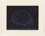 Artist: b'Bragge, Anita.' | Title: b'The expanding universe and the millipede of time' | Date: 1999, November | Technique: b'etching, relief printed in blue ink, from one plate'