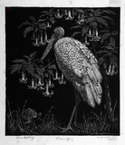 Artist: b'LINDSAY, Lionel' | Title: b'Philosophy' | Date: 1925 | Technique: b'wood-engraving, printed in black ink, from one block' | Copyright: b'Courtesy of the National Library of Australia'