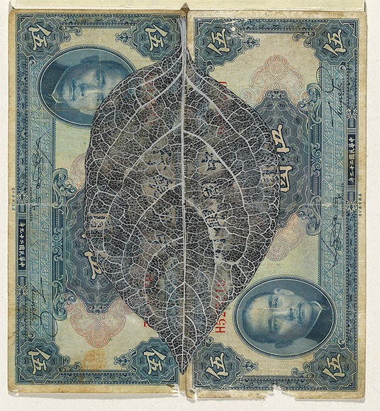 Artist: b'HALL, Fiona' | Title: b'Diospyros kaki - Persimmon (Chinese currency)' | Date: 2000 - 2002 | Technique: b'gouache' | Copyright: b'\xc2\xa9 Fiona Hall'