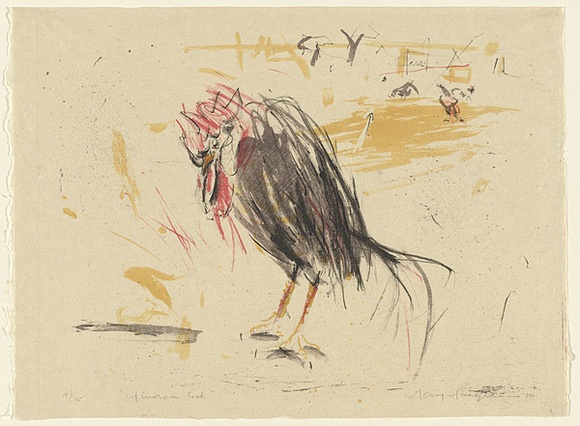 Artist: b'MACQUEEN, Mary' | Title: b'Minorca cock' | Date: 1970 | Technique: b'lithograph, printed in colour, from multiple plates' | Copyright: b'Courtesy Paulette Calhoun, for the estate of Mary Macqueen'