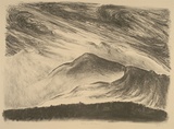 Artist: Trenfield, Wells. | Title: Melaleuca landscape IX | Date: 1986 | Technique: lithograph, printed in black ink, from one stone