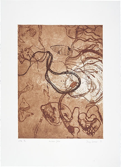Artist: b'Watson, Judy.' | Title: b'museum piece' | Date: 1998, July | Technique: b'etching and lift ground aquatint, printed in three colours, from two copper plates' | Copyright: b'\xc2\xa9 Judy Watson. Licensed by VISCOPY, Australia'