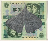 Artist: HALL, Fiona | Title: Gingko biloba - Gingko (Chinese currency) | Date: 2000 - 2002 | Technique: gouache | Copyright: © Fiona Hall
