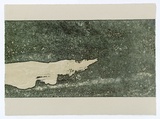 Artist: b'HODGKIN, Jonathan' | Title: b'Envoy [2]' | Date: 1995 | Technique: b'etching and woodblock, printed in colour, from multiple plates/blocks'