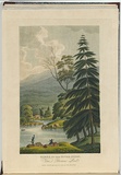 Artist: b'LYCETT, Joseph' | Title: bScene up the River Huon. Van Diemen's Land. | Date: 1825 | Technique: b'etching, aquatint and roulette, printed in black ink, from one copper plate; hand-coloured'