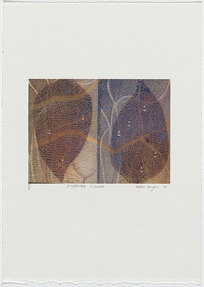 Artist: b'Wright, Helen.' | Title: b'(Two leaves with water droplets)' | Date: 2000 | Technique: b'digital print, printed in colour, from digital file'