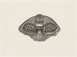 Artist: Wone, Nicola. | Title: Owl and Bat Totem. | Date: 2006 | Technique: etching and aquatint, printed in black ink, from one plate