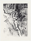 Artist: WILLIAMS, Fred | Title: Wild Dog Creek I | Date: 1977-78 | Technique: lithograph, printed in black ink, from one plate | Copyright: © Fred Williams Estate