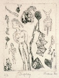 Artist: b'SHEARER, Mitzi' | Title: b'Display' | Date: 1980 | Technique: b'etching, drypoint printed in black ink with plate-tone, from one  plate'