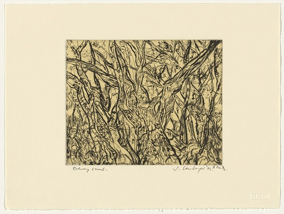 Artist: b'Senbergs, Jan.' | Title: b'Otway scrub' | Date: 1992 | Technique: b'etching, printed in black ink, from one plate; chine coll\xc3\xa9' | Copyright: b'\xc2\xa9 Jan Senbergs'