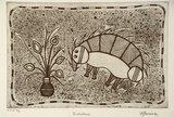 Artist: b'Berick, Wendy Watjera.' | Title: b'Echidna' | Date: 1999, April | Technique: b'etching, printed in black ink, from one plate'