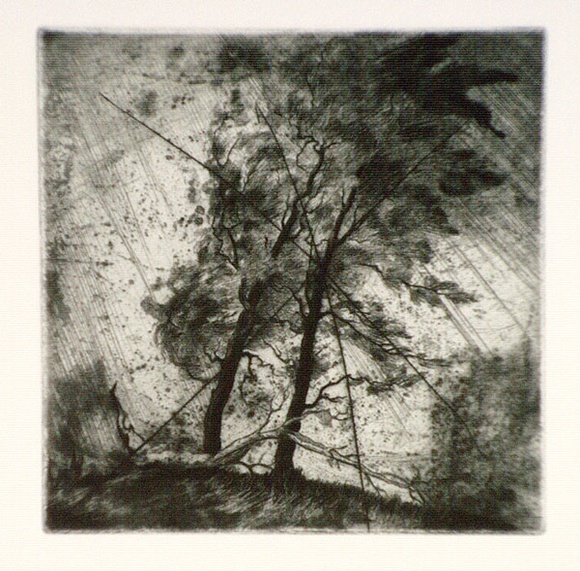 Artist: b'FEINT, Adrian' | Title: b'(Trees).' | Date: 1980 | Copyright: b'Courtesy the Estate of Adrian Feint'