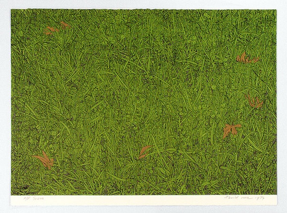 Artist: b'Rose, David.' | Title: b'Grass' | Date: 1974 | Technique: b'screenprint, printed in colour, from multiple stencils'