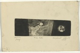 Artist: b'Cilento, Margaret.' | Title: b'Sea life.' | Date: 1949 | Technique: b'etching, drypoint, printed in black ink with plate-tone, from one plate,'
