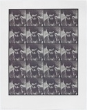 Artist: MADDOCK, Bea | Title: Four times five. | Date: 1970, November | Technique: photo-screenprint, printed in colour, from three stencils