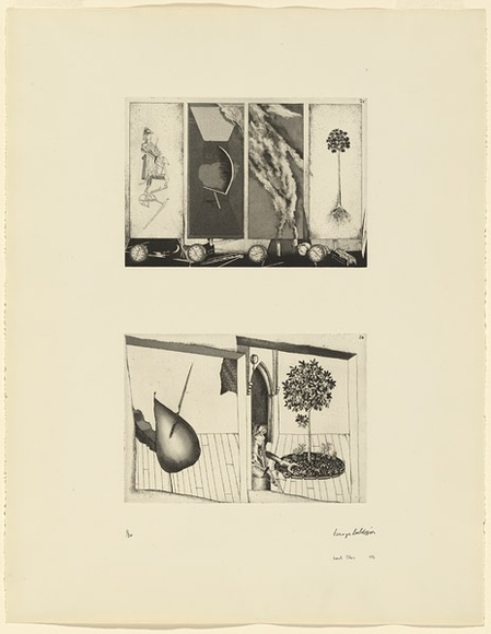 Artist: b'BALDESSIN, George' | Title: b'According to des Esseintes 2.' | Date: 1976 | Technique: b'etching and aquatints, printed in black ink, each from one plate' | Copyright: b'Courtesy of the artist'