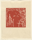 Artist: b'Dawson, Janet.' | Title: b'not titled.' | Date: 1993, March | Technique: b'linocut, printed in rust ink, from one block' | Copyright: b'\xc2\xa9 Janet Dawson. Licensed by VISCOPY, Australia'