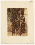 Artist: b'WILLIAMS, Fred' | Title: b'Landscape panel. Number 1' | Date: 1962 | Technique: b'sugar aquatint, engraving and drypoint, printed in sepia ink, from one zinc plate' | Copyright: b'\xc2\xa9 Fred Williams Estate'