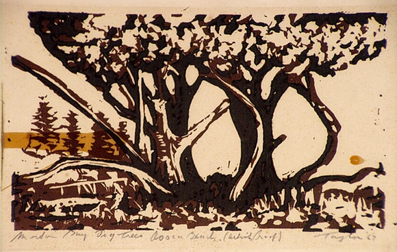 Artist: b'Taylor, John H.' | Title: b'Moreton Bay figs, Avoca Beach' | Date: 1967 | Technique: b'linocut, printed in colour, from two blocks'