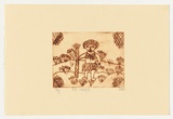Artist: Namatjira, Sally | Title: not titled [ceremonial man] | Date: 2004 | Technique: drypoint etching, printed in brown ink, from one perspex plate