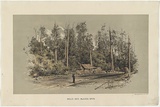 Artist: b'UNKNOWN' | Title: bBells's Hut, Black's Spur | Date: c.1890 | Technique: b'lithograph, printed in colour, from two stones; hand-coloured'