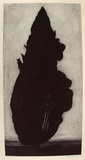 Artist: b'Johnstone, Ruth.' | Title: b'Cypress I' | Date: 1985 | Technique: b'etching, printed in black ink, from one plate'