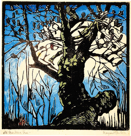 Artist: b'PRESTON, Margaret' | Title: b'The Banksia tree.' | Date: 1939 | Technique: b'woodcut, printed in black ink, from one block; hand-coloured' | Copyright: b'\xc2\xa9 Margaret Preston. Licensed by VISCOPY, Australia'