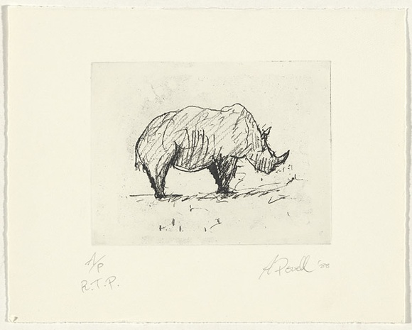 Artist: b'Powell, Andrew.' | Title: b'not titled [rhinocerous]' | Date: 1988 | Technique: b'photo etching and aquatint, printed in black ink, from one plate'