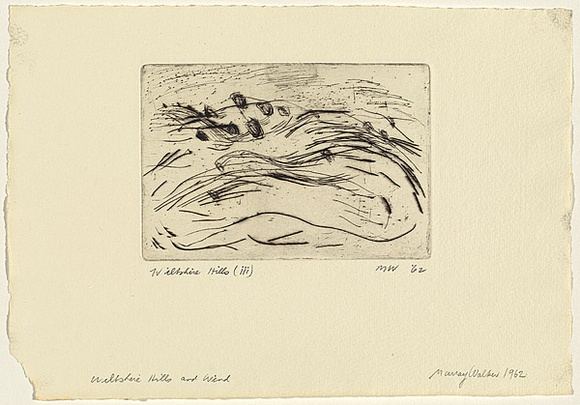 Artist: b'WALKER, Murray' | Title: b'Wiltshire Hills and wind' | Date: 1962 | Technique: b'etching, printed in black ink, from one zinc plate'