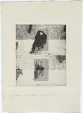 Artist: b'MADDOCK, Bea' | Title: b'Etching test black: Man walking' | Date: 1973 | Technique: b'half-tone photo-etching, printed in black ink, from two plates'