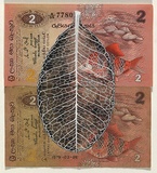 Artist: HALL, Fiona | Title: Sonneratia caseolaris - Mangrove (Ceylon currency) | Date: 2000 - 2002 | Technique: gouache | Copyright: © Fiona Hall