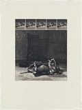 Artist: b'MADDOCK, Bea' | Title: b'Caliper' | Date: 1974 | Technique: b'photo-etching and aquatint, printed in black ink, from six plates'