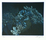 Artist: b'GRIFFITH, Pamela' | Title: b'The giant clam (blue)' | Date: 1981 | Copyright: b'\xc2\xa9 Pamela Griffith'