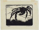 Artist: b'OGILVIE, Helen' | Title: b'The crab.' | Date: 1936 | Technique: b'wood-engraving, printed in black ink, from one block'