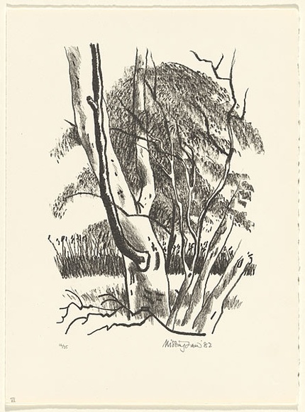 Title: Fortescue River | Date: 1982 | Technique: lithograph, printed in black ink, from one stone