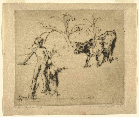 Artist: b'Darbyshire, Beatrice.' | Title: b'The Jersey calf.' | Date: c.1920 | Technique: b'drypoint, printed in warm black ink, from one copper plate'