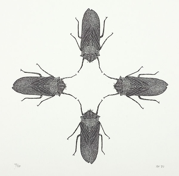 Artist: b'Atkins, Ros.' | Title: b'Cicadas.' | Date: 2000 | Technique: b'wood-engraving, printed in black ink, from one block'