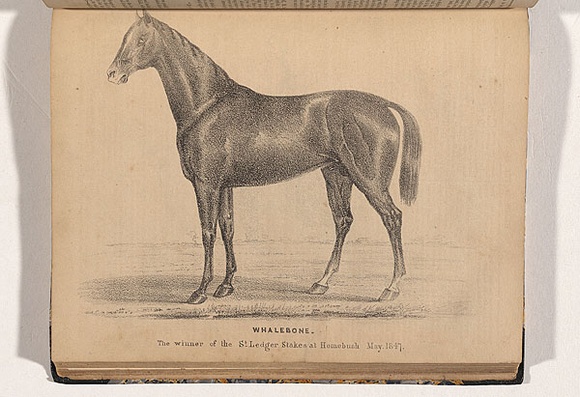 Artist: b'Nicholas, William.' | Title: b'Whalebone, winner of the St. Ledger stakes at Homebush May 1847' | Date: 1847 | Technique: b'lithograph, printed in black ink, from one plate'