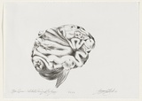 Artist: b'Tritton-Young, Maxienne.' | Title: bBrain species I. Aristotle's pre-requisite for reason | Date: 1986, November | Technique: b'lithograph, printed in black ink, from one stone'