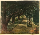 Artist: b'ROSENGRAVE, Harry' | Title: b'The Mafeking tree' | Date: 1954 | Technique: b'lithograph, printed in colour, from four stones'