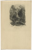 Title: Willoughby Falls, near Sydney | Date: c.1850 | Technique: etching and engraving, printed in black ink, from one plate