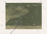 Artist: b'MEYER, Bill' | Title: b'Green crossing with lines' | Date: 1980-81 | Technique: b'screenprint, printed in four colours, from four screens (including photo-image screens)' | Copyright: b'\xc2\xa9 Bill Meyer'