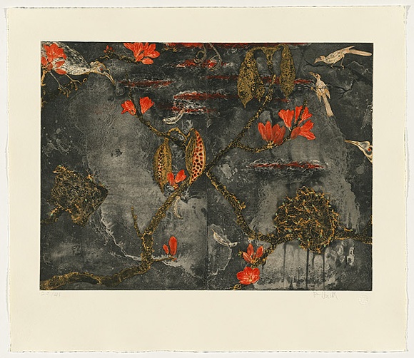 Title: b'Brachychiton \xc2\x96 Nanungguwa' | Date: 2010 | Technique: b'etching, printed in colour, from six plates'