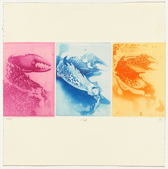 Artist: SCHMEISSER, Jorg | Title: 9. Colour etching | Date: 1984 | Technique: etching and aquatint, printed in colour, from three plates | Copyright: © Jörg Schmeisser