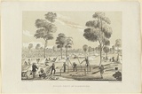 Title: b'Golden Point, Mt Alexander.' | Date: 1852 | Technique: b'lithograph, printed in colour, from two stones'