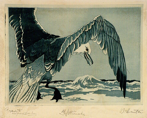 Artist: b'Hunter, William.' | Title: b'Kittiwake' | Date: 1940s