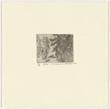Artist: Robinson, William. | Title: Springbrook 6 | Date: 1999 | Technique: etching, printed in brown ink, from one plate