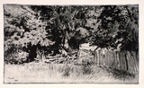 Artist: b'Cobb, Victor.' | Title: b'not titled (The broken fence).' | Date: 1931 | Technique: b'drypoint, printed in black ink with plate-tone, from one plate'