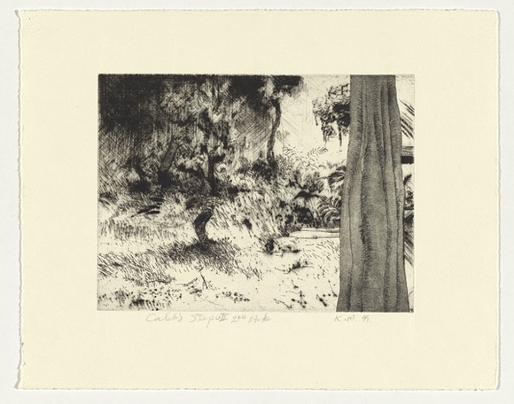 Artist: b'Mortensen, Kevin.' | Title: bCaleb's steps II | Date: 1999 | Technique: b'etching, printed in black ink, from one copper plate' | Copyright: b'\xc2\xa9 Kevin Mortensen'